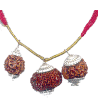 Badha Mukti Rudraksha Kavach
