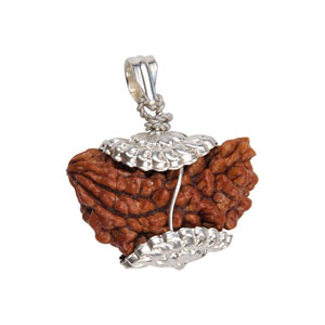 Ek Mukhi kajudana Locket with Silver cap