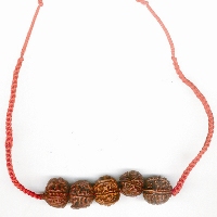 Ganesh Rudraksha Kavach