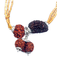 Parivarik Rudraksha Kavach