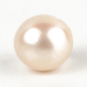 Pearl - Per Ratti