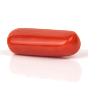 Red Coral(Moonga)