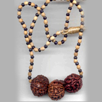 Santan Sukh Dayak Kavach