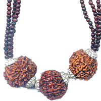 Shani Dosh Nivaran Rudraksha Kavach