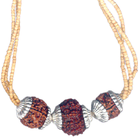 Vidya Pradayak Rudraksha Kavach