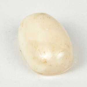 White Coral (Moonga)
